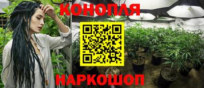 прущая мука Обнинск