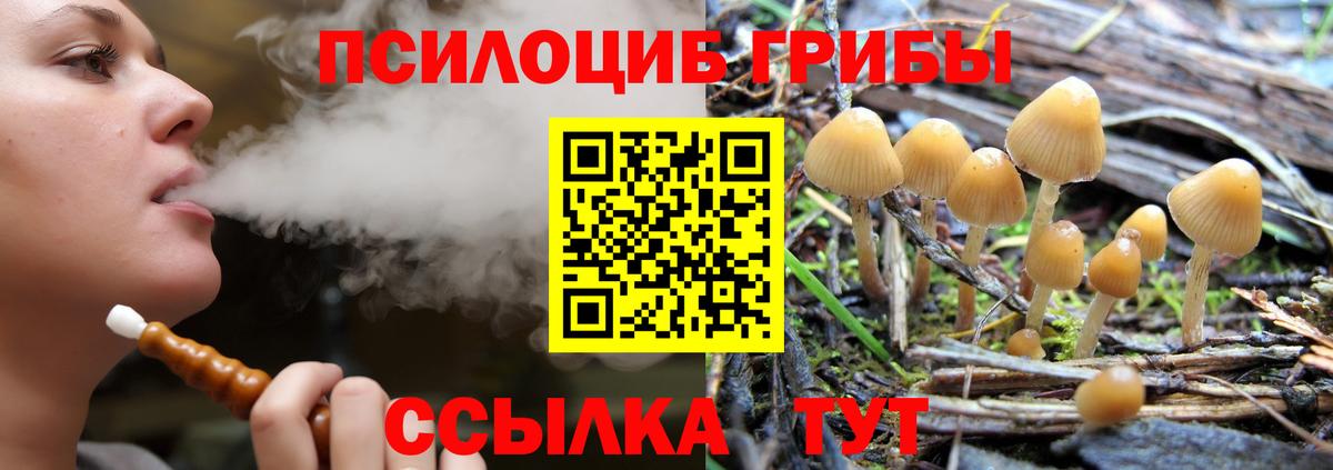 Галлюциногенные грибы GOLDEN TEACHER Сибай